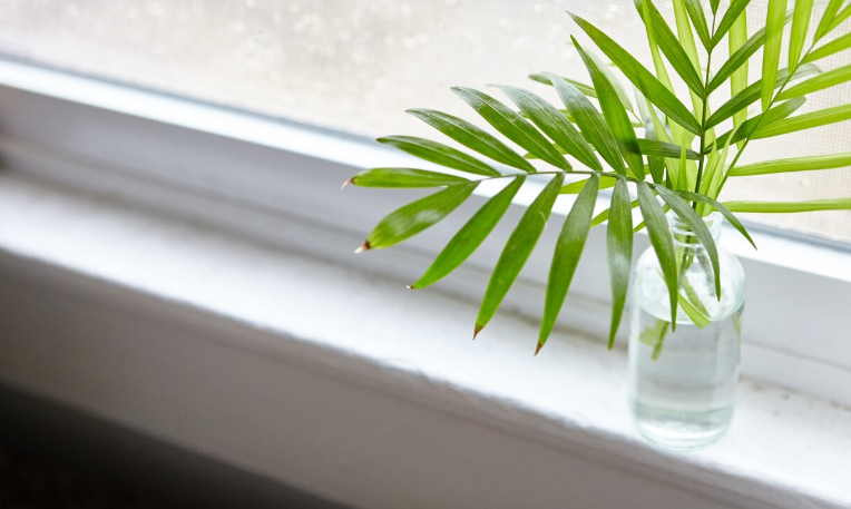 Warum werden Fensterbänke im Alltag schnell vollgestellt